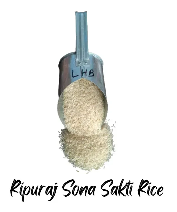 Ripuraj Sona Sakti Rice
