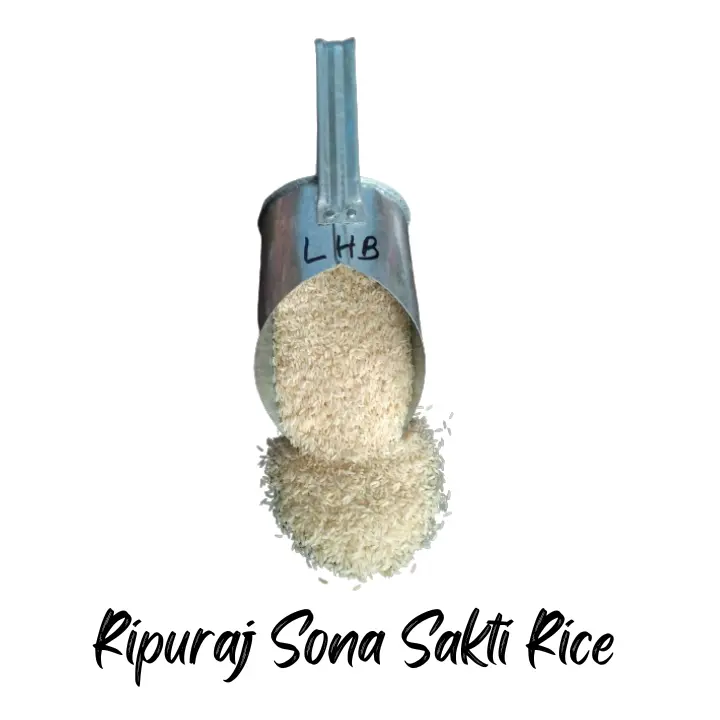 Ripuraj Sona Sakti Rice