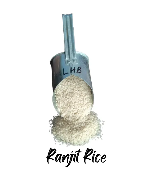 Special Ranjit Rice