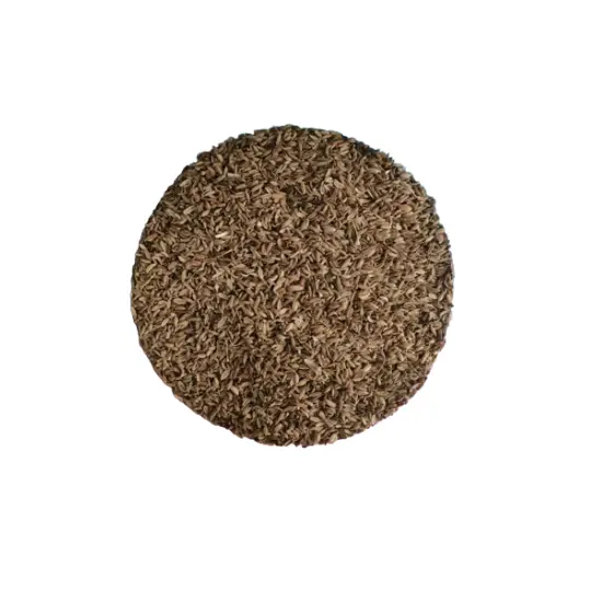 Saunf-Loose-100-g Saunf Loose 100 g