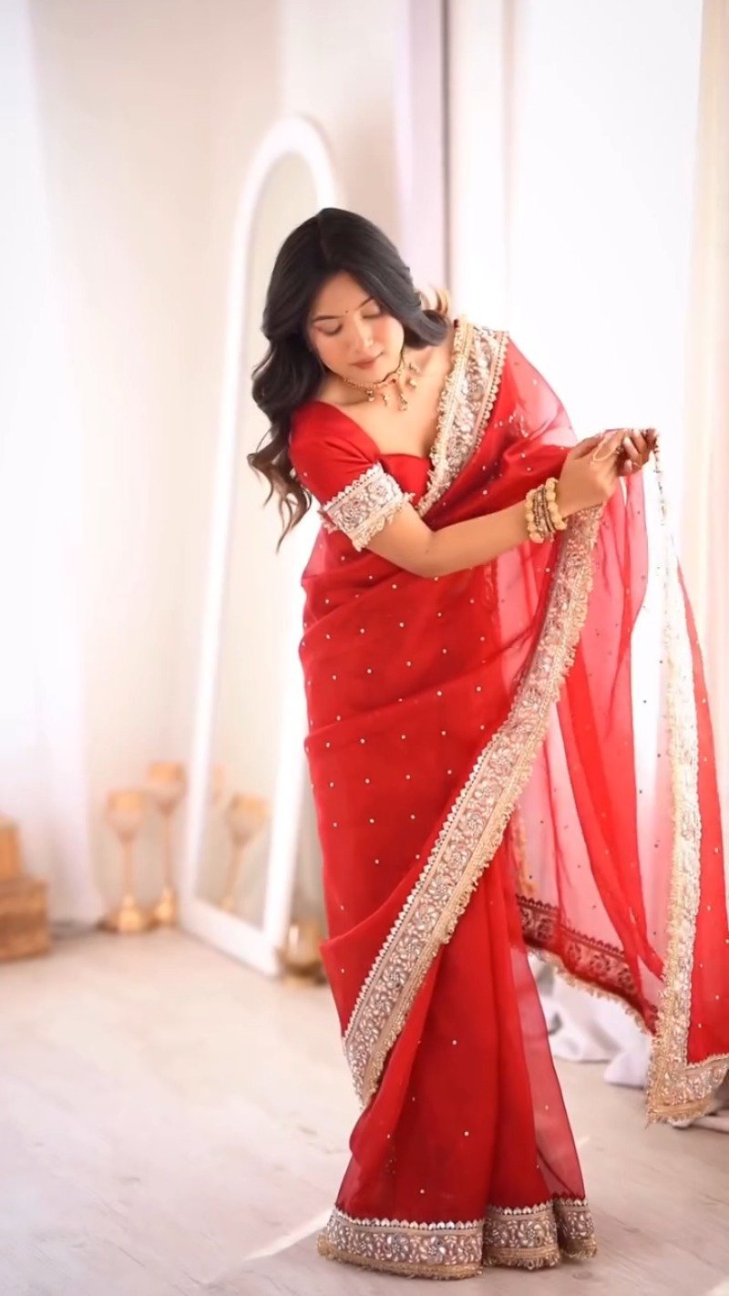 Scarlet Radiance Embellished Net Saree – A Masterpiece of Traditional Elegance - Image 2