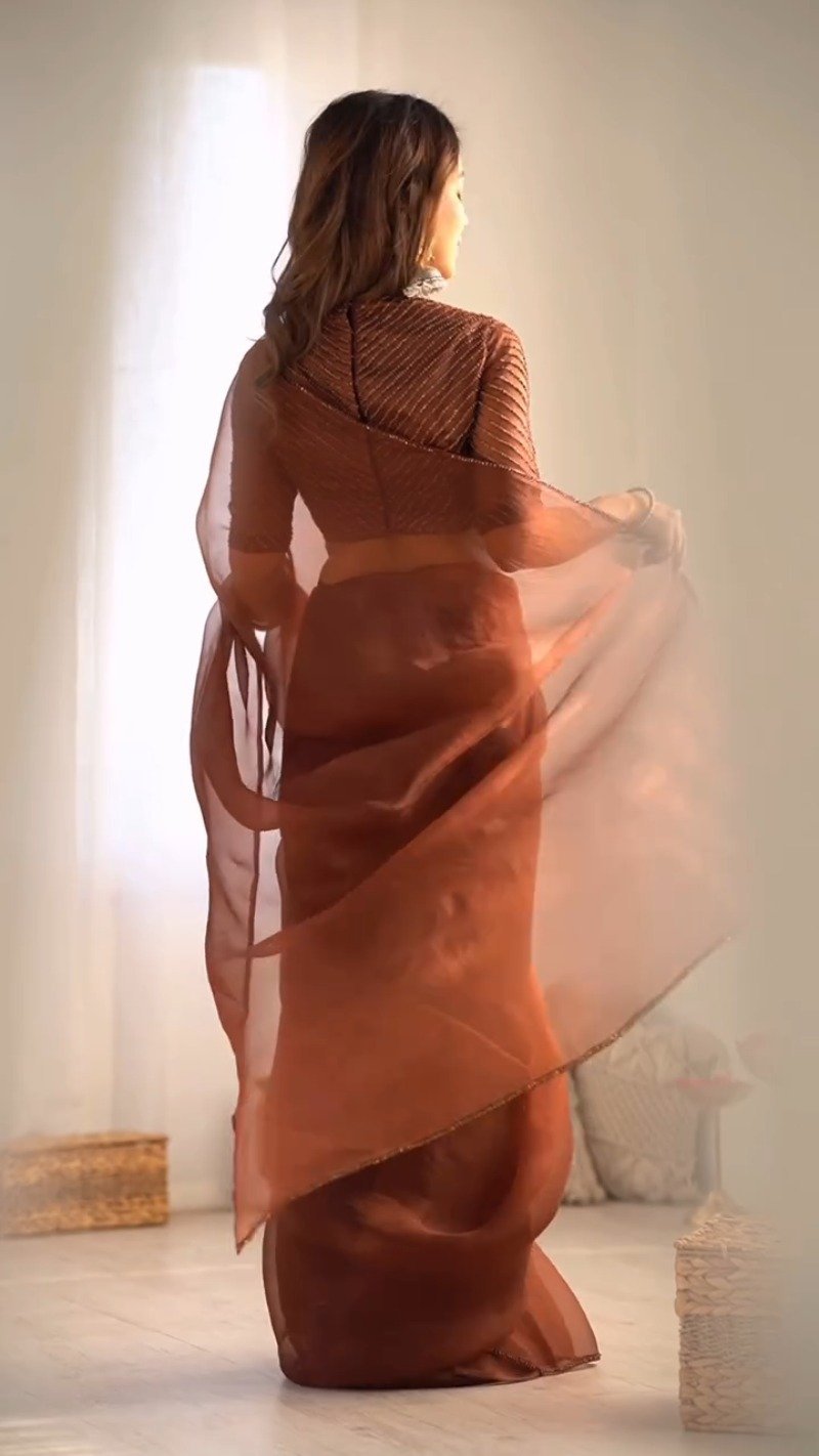 Ethereal Sienna Brown Organza Silk Embroidered Saree - Image 2