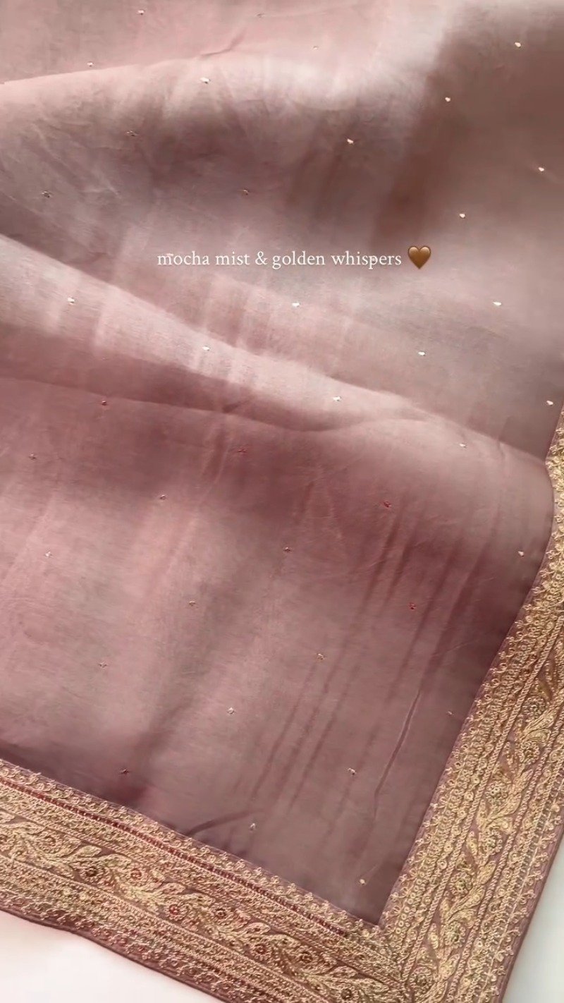 Mocha Mist Embroidered Saree with Golden Zari Border - Image 4